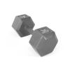 Multi-weight cast iron hexagonal dumbbell, single bar