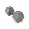 Multi-weight cast iron hexagonal dumbbell, single bar