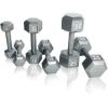 Multi-weight cast iron hexagonal dumbbell, single bar