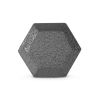 Multi-weight cast iron hexagonal dumbbell, single bar